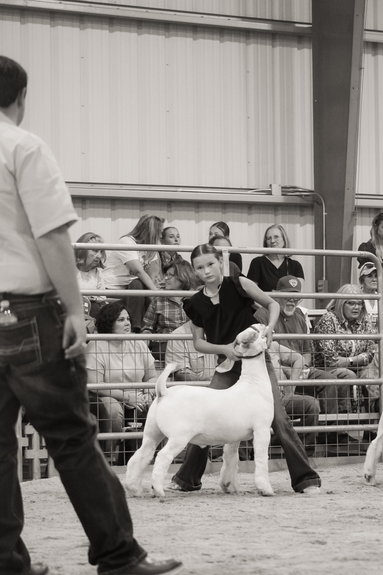 eyes on the judge