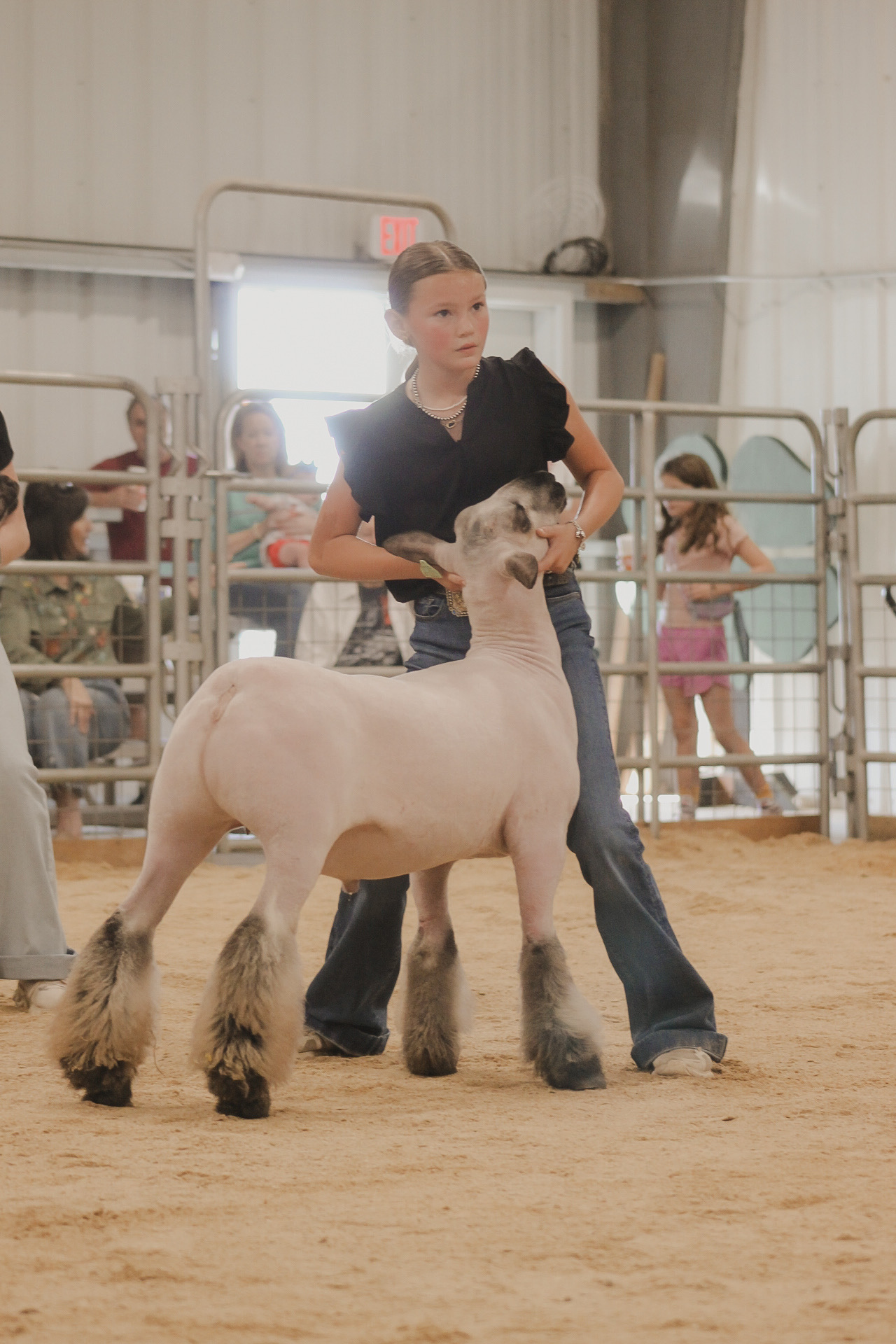 lamb in the ring