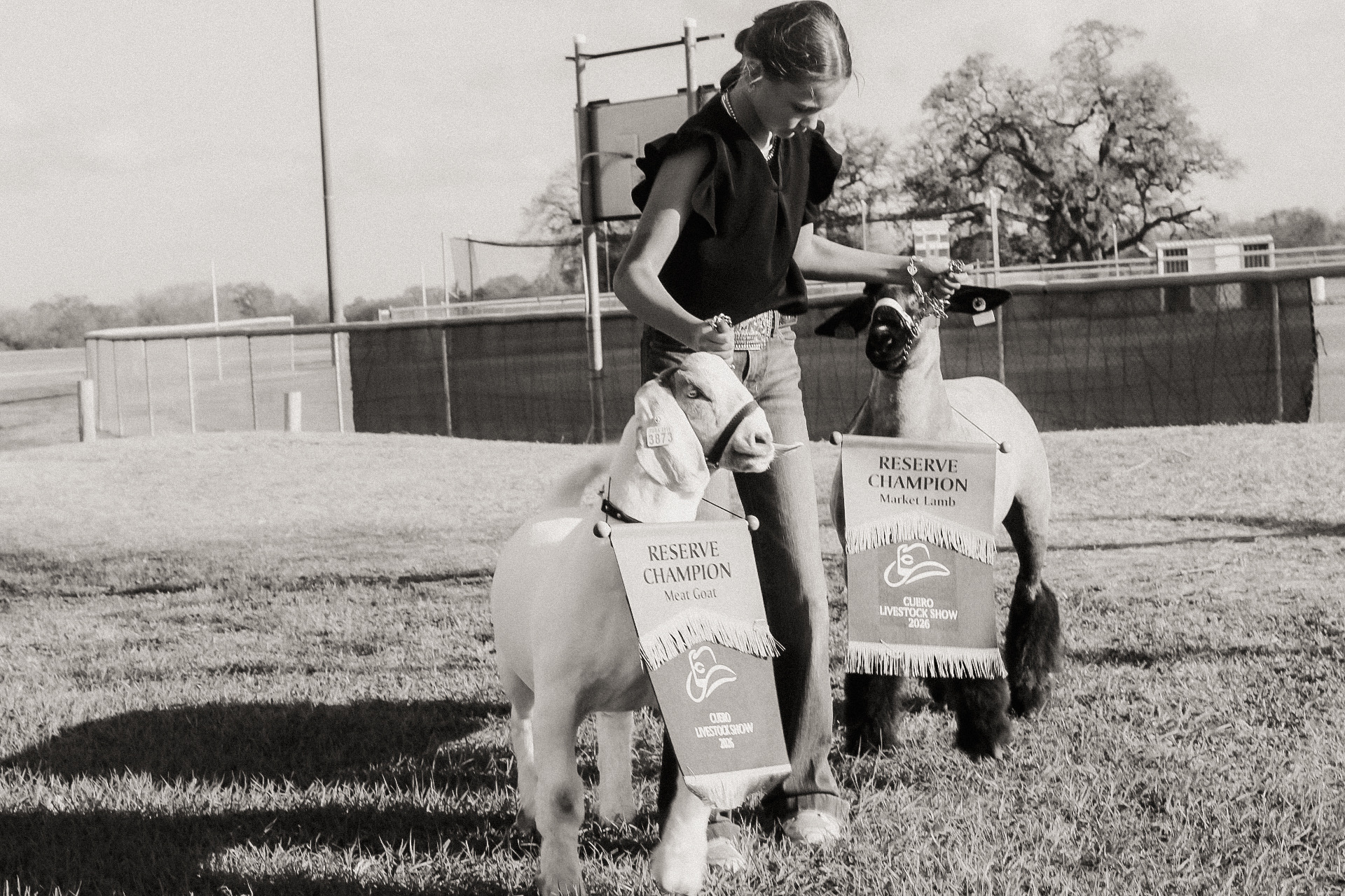 Double Reserve Champion Market Goat & Market Lamb — Cuero Livestock Show 2026